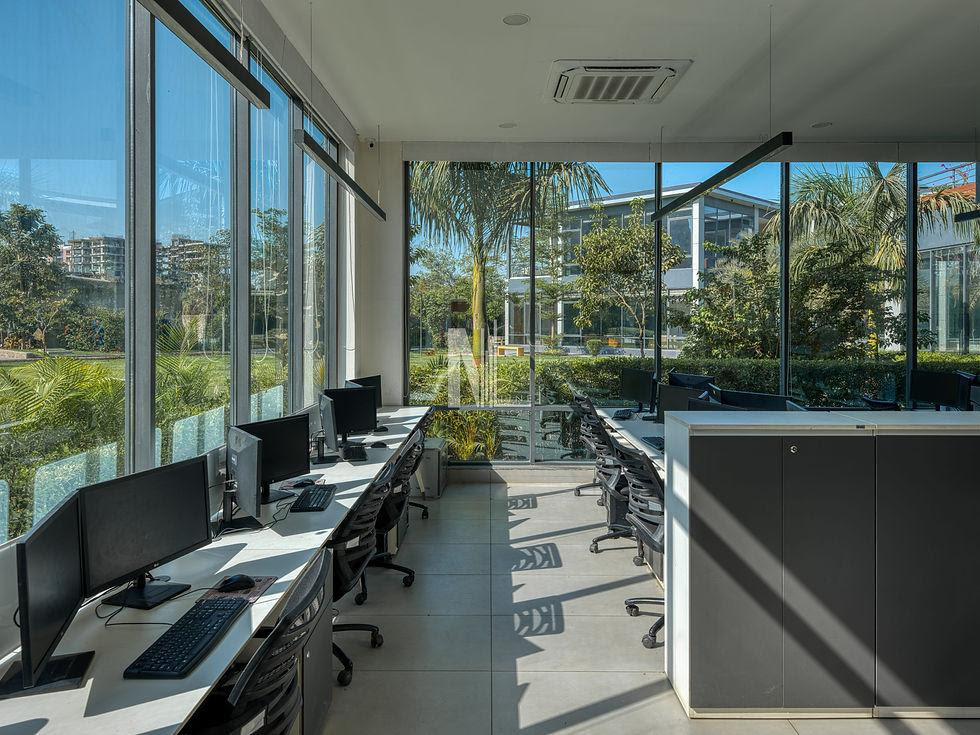 A bright open workspace with long desks and windows looking onto trees